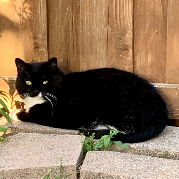 Calli & Boots - Picture 4 of 5